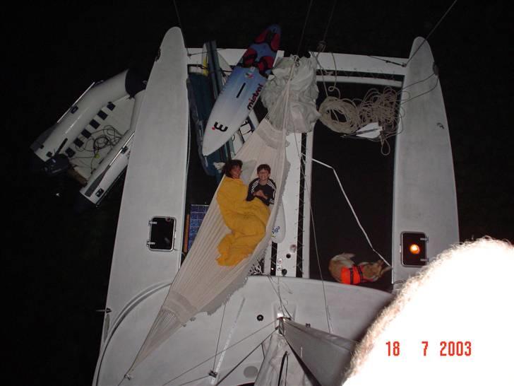 Flerskrogsbåd costum 36 billede 13