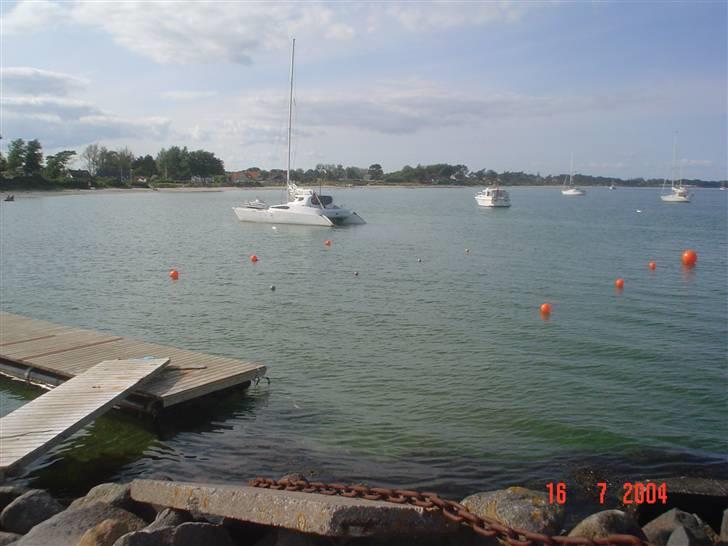 Flerskrogsbåd costum 36 billede 15