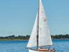 Spidsgatter 30