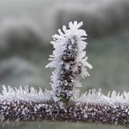 Micro/macro og andet