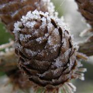 Micro/macro og andet