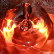 Micro/macro og andet