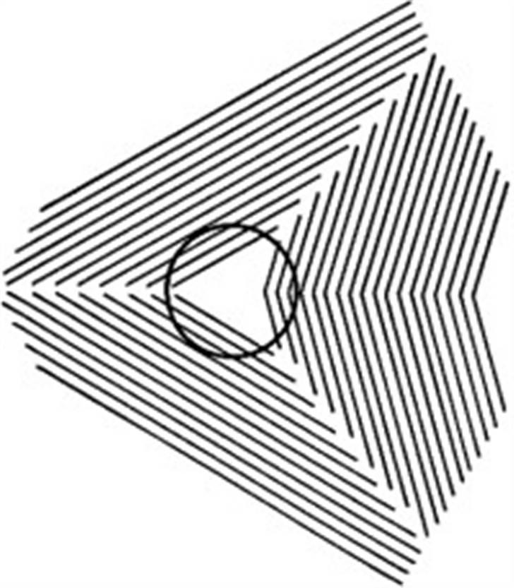 Synsbedrag :-) - Den perfekte cirkel.... billede 13
