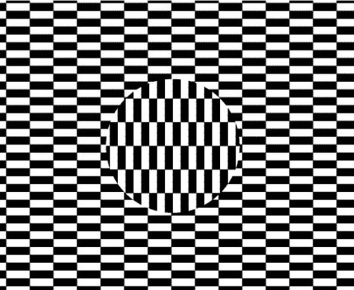 Synsbedrag :-) - Kig på centrum af billede og ryk hovedet frem og tilbage... billede 15