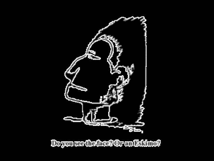 Synsbedrag :-) - Indianer eller eskimo? billede 17