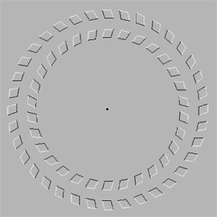 Synsbedrag :-) - Kig på den sorte prik og ryk hovedet frem og tilbage.... billede 21