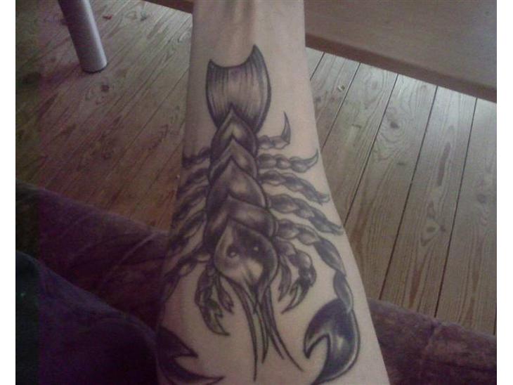 {{currentPhoto.altText}} billede {{currentPhoto.number}}