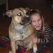 Amstaff 