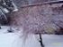 Vinter '07