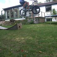 Lidt bmx billeder