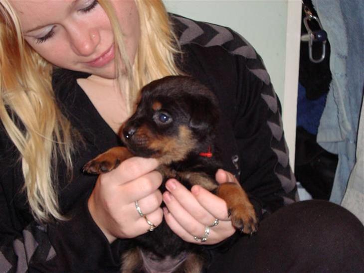 {{currentPhoto.altText}} billede {{currentPhoto.number}}