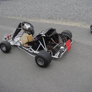 Go-karts 100cc Dino & 125cc Rotax