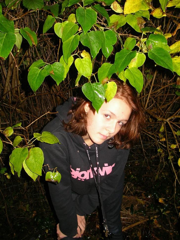 Blondine'Dum'Brunettes HVERDAG <3 (: - Milla <3 billede 3