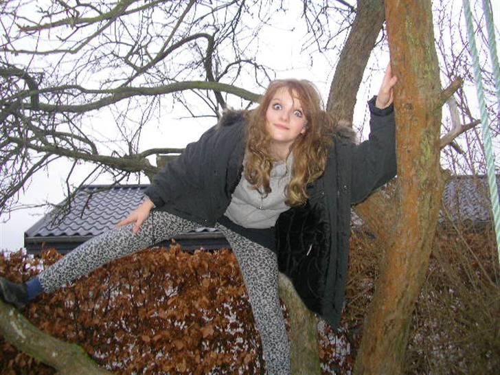 Blondine'Dum'Brunettes HVERDAG <3 (: - Malle <3 billede 12