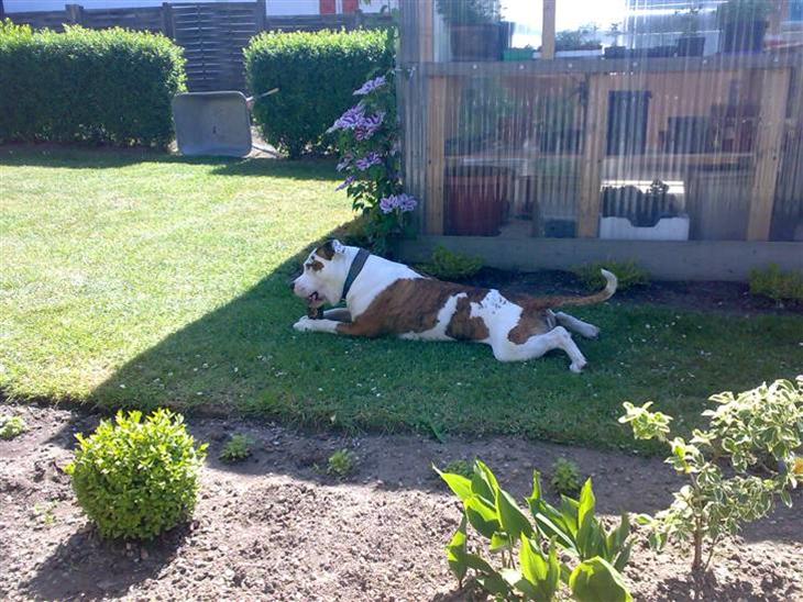 {{currentPhoto.altText}} billede {{currentPhoto.number}}