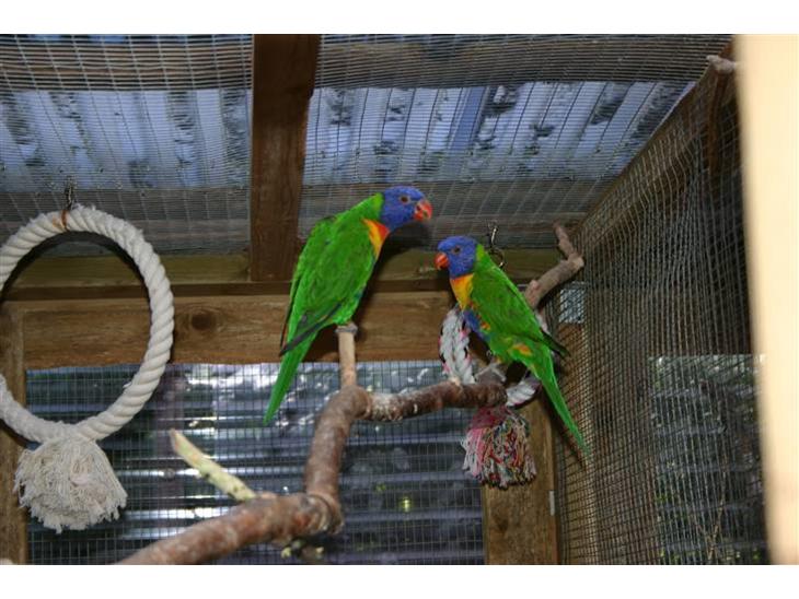 {{currentPhoto.altText}} billede {{currentPhoto.number}}