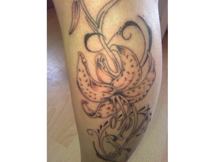 {{currentPhoto.altText}} billede {{currentPhoto.number}}