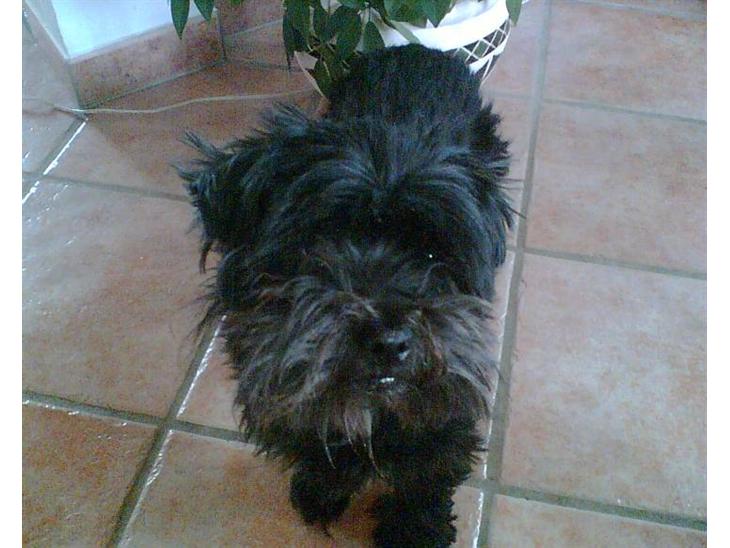 {{currentPhoto.altText}} billede {{currentPhoto.number}}