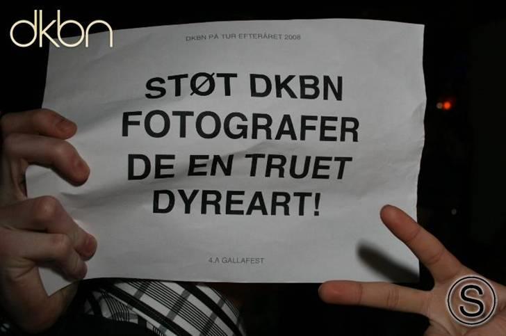 Dkbn for ever billede 10