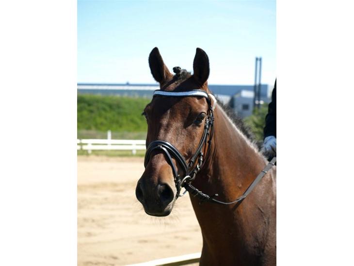 {{currentPhoto.altText}} billede {{currentPhoto.number}}