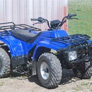 ATV