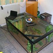 Mine slanger og terrarium