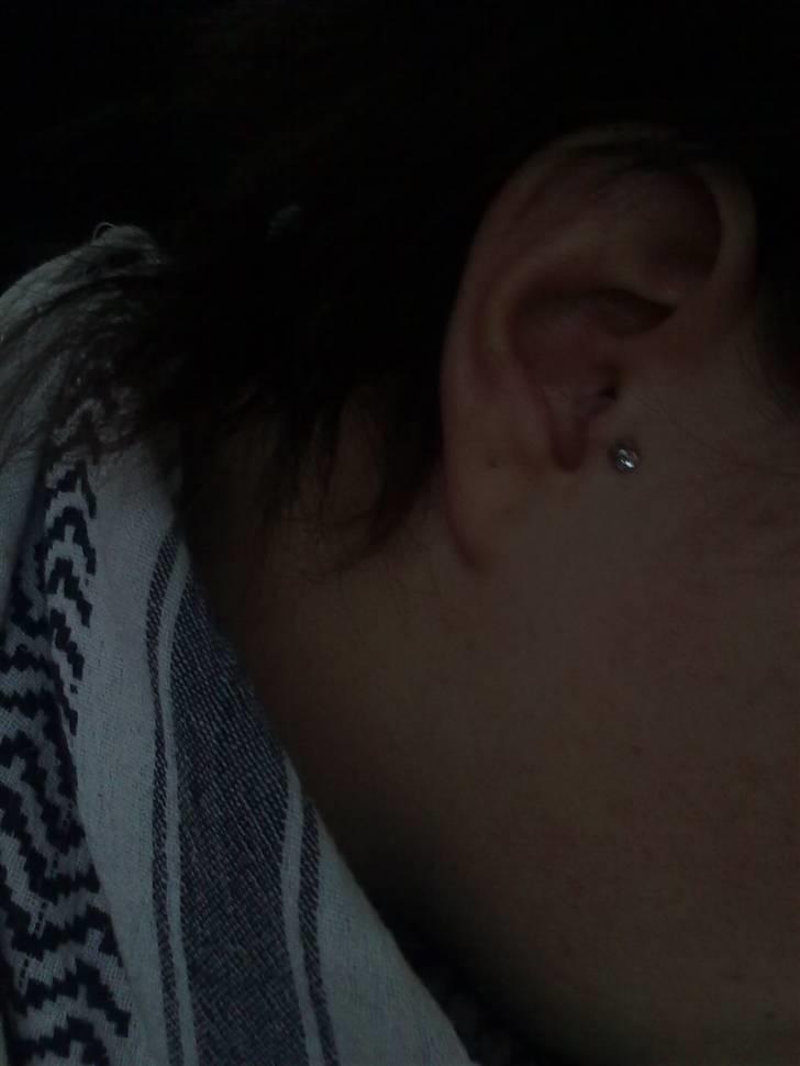 Mine tattoo's og piercinge :D - Tragus højre billede 9