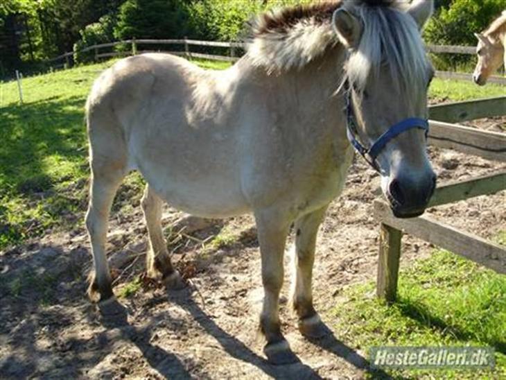 {{currentPhoto.altText}} billede {{currentPhoto.number}}