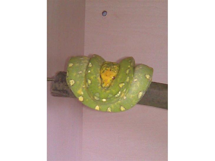 {{currentPhoto.altText}} billede {{currentPhoto.number}}