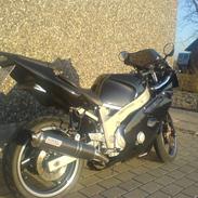 FZR600R