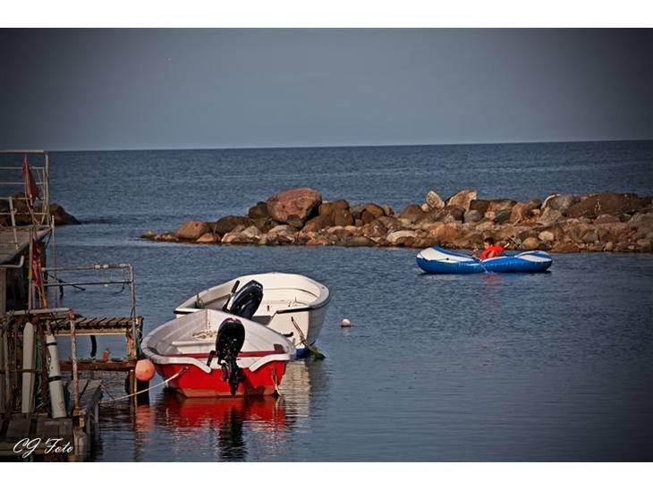 {{currentPhoto.altText}} billede {{currentPhoto.number}}