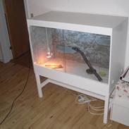 Hjemmelavet terrarie og skægagamer