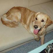 Min dejlige Kira....