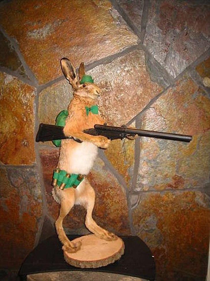 Dårligt udstoppede dyr billede 14