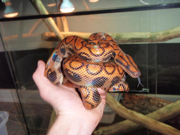 {{currentPhoto.altText}} billede {{currentPhoto.number}}