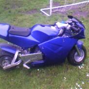 Minibike