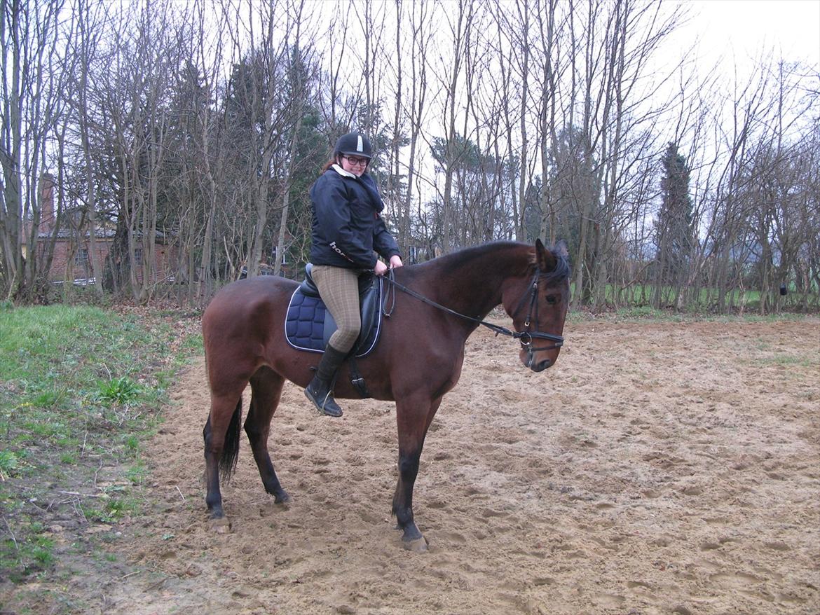 Min nye kødscooter! (-: billede 5