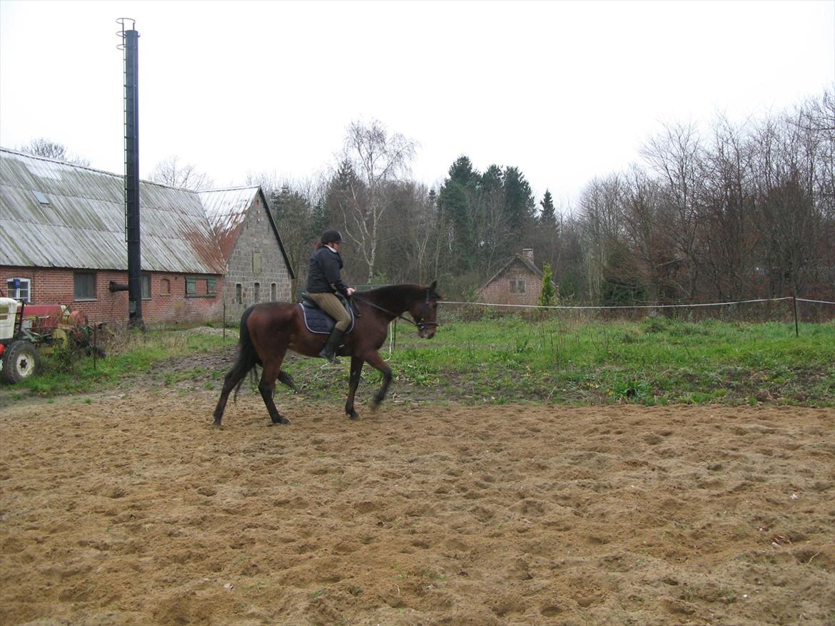 Min nye kødscooter! (-: billede 8