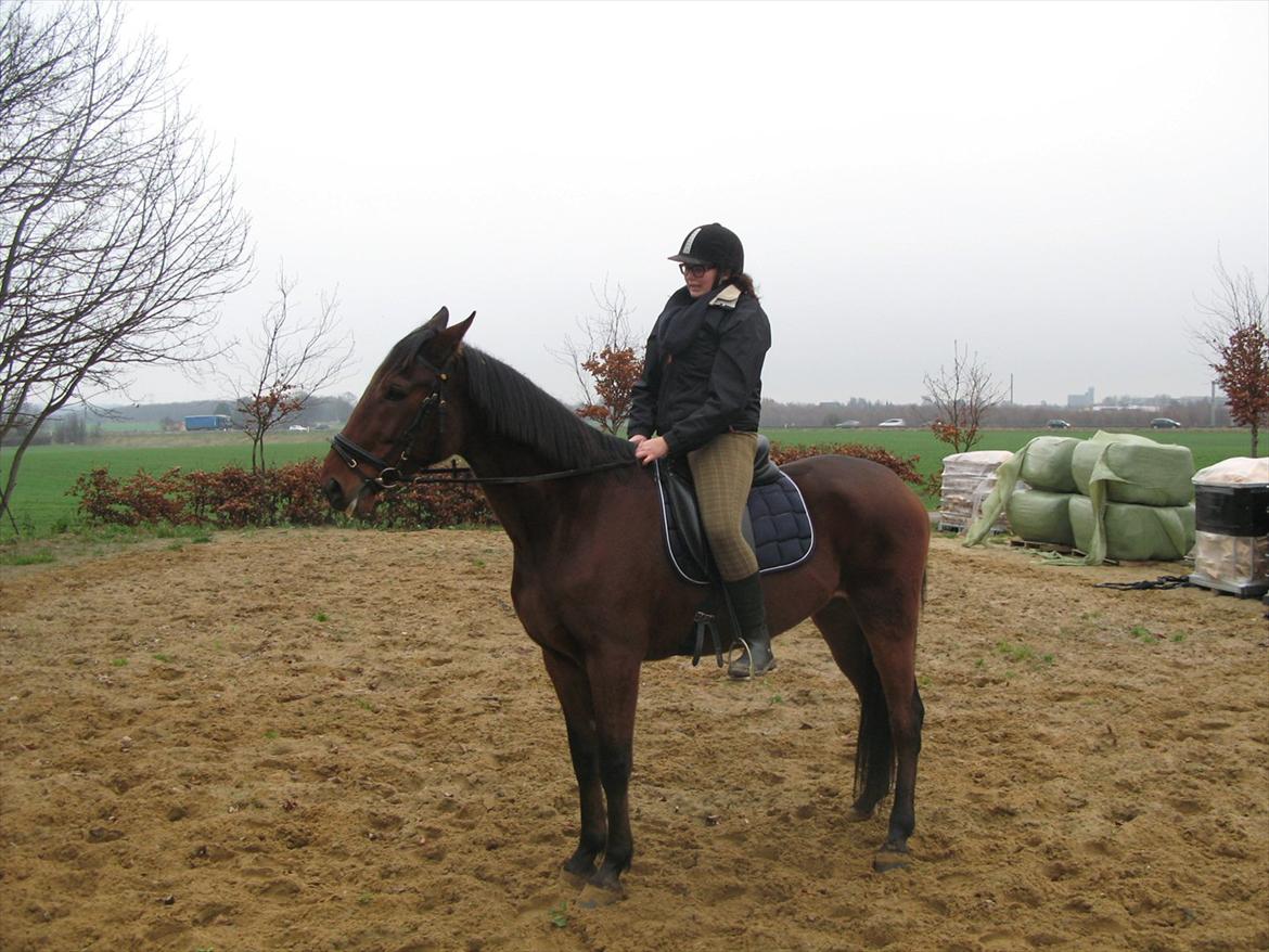 Min nye kødscooter! (-: billede 9