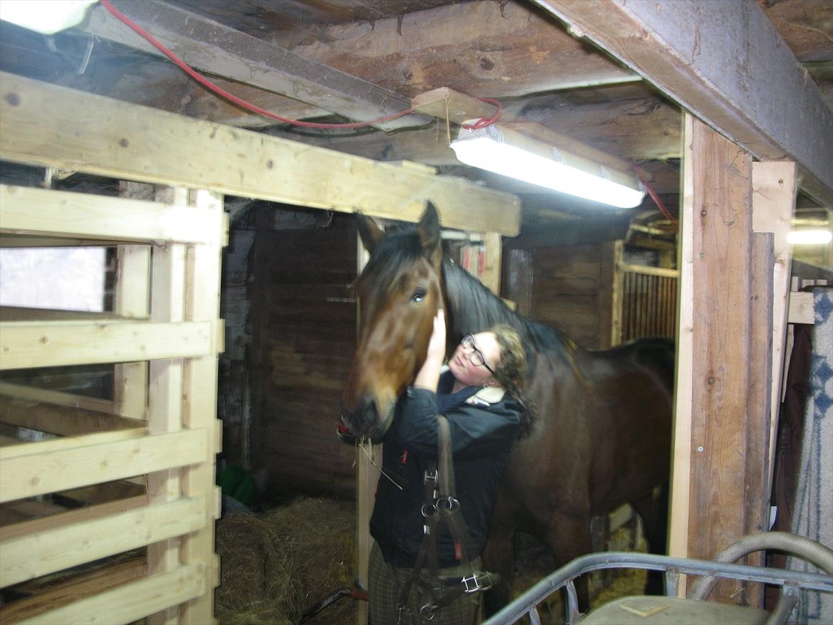 Min nye kødscooter! (-: billede 11