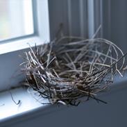 Fotos taget med D3100