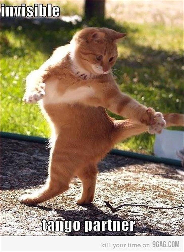 Random billeder billede 6