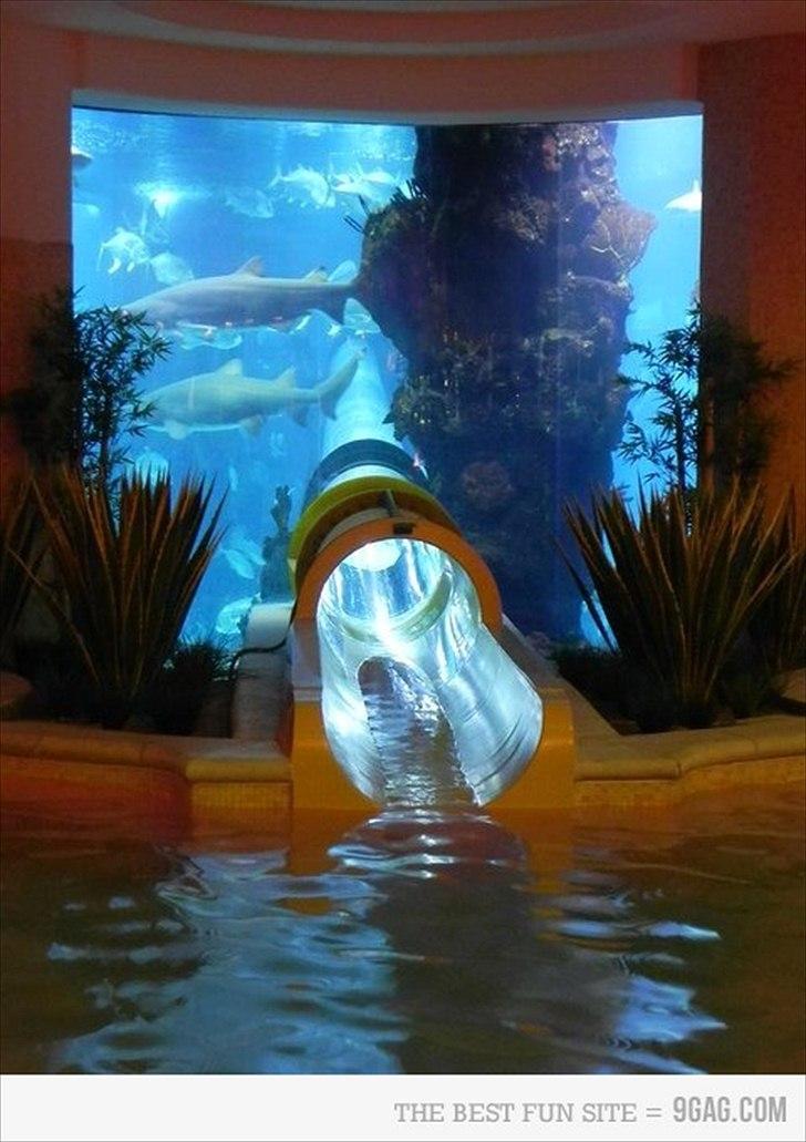 Random billeder billede 10