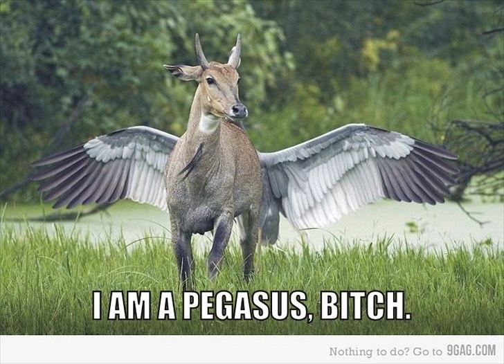 Random billeder billede 13