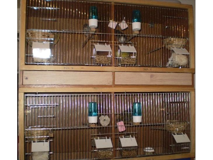 {{currentPhoto.altText}} billede {{currentPhoto.number}}