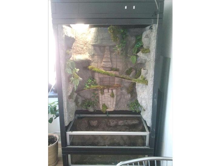 {{currentPhoto.altText}} billede {{currentPhoto.number}}