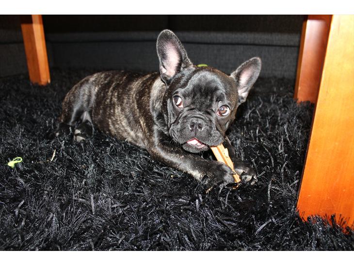 {{currentPhoto.altText}} billede {{currentPhoto.number}}