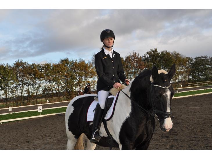 {{currentPhoto.altText}} billede {{currentPhoto.number}}