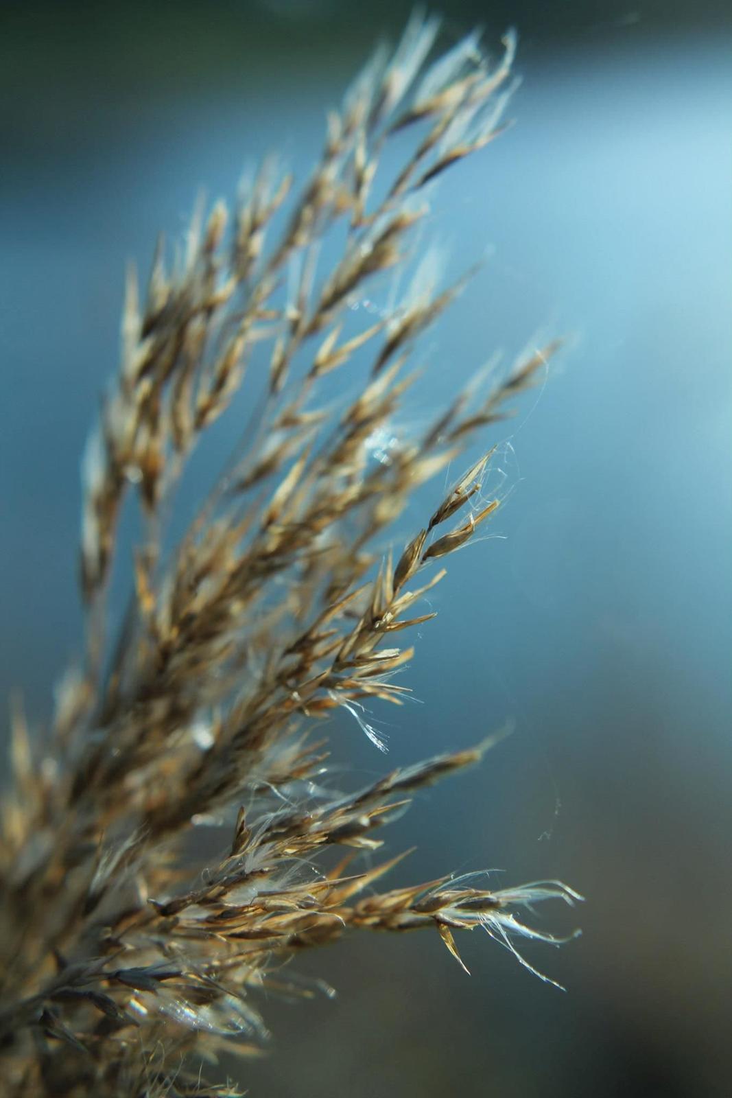 Random billeder. billede 8