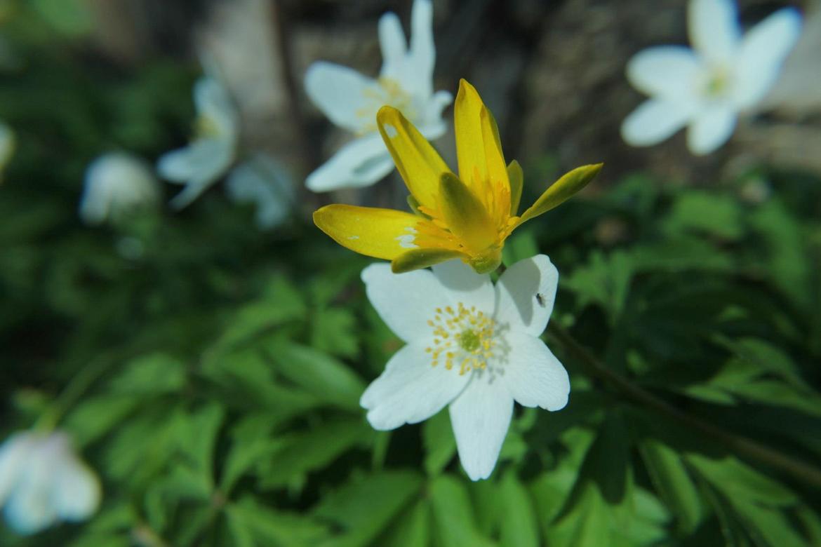 Random billeder. billede 15